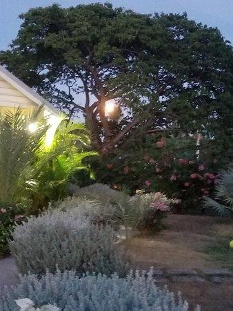 A Mi Fi Tell Yuh Lounge & Grill